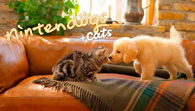 jogos-online-para-fas-de-animais:-entretenimento-para-todos