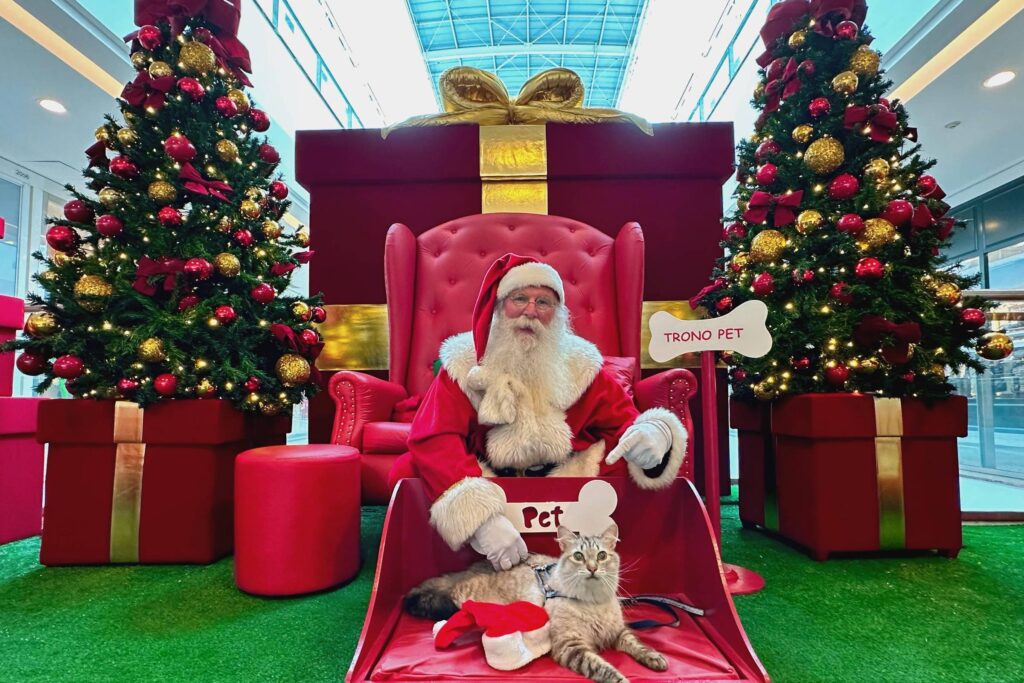 bom-pra-cachorro:-papai-noel-e-arvore-da-audocao;-saiba-onde-fazer-a-foto-de-natal-do-pet-em-sp