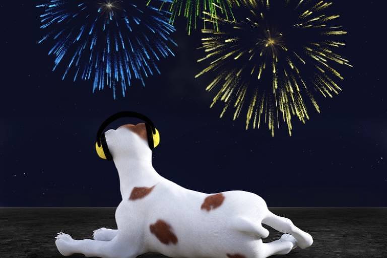 bom-pra-cachorro:-hotel-em-sp-cria-espaco-contra-ruido-para-pets-no-reveillon