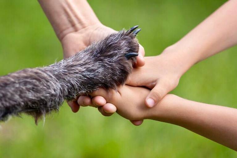 bom-pra-cachorro:-dia-da-memoria-pet-e-lembrado-com-celebracao-em-crematorio-na-grande-sp