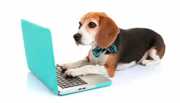 tecnologia-logistica-e-importante-aliada-do-mercado-pet-em-seu-momento-de-crescimento