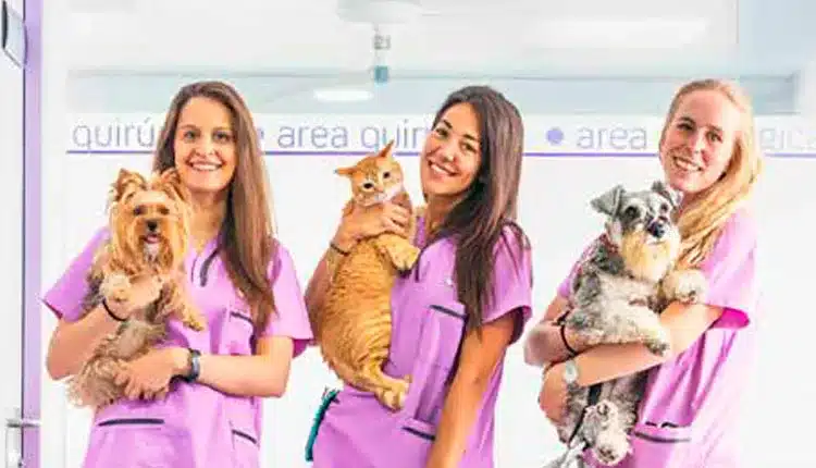 elas-dominam-a-medicina-veterinaria