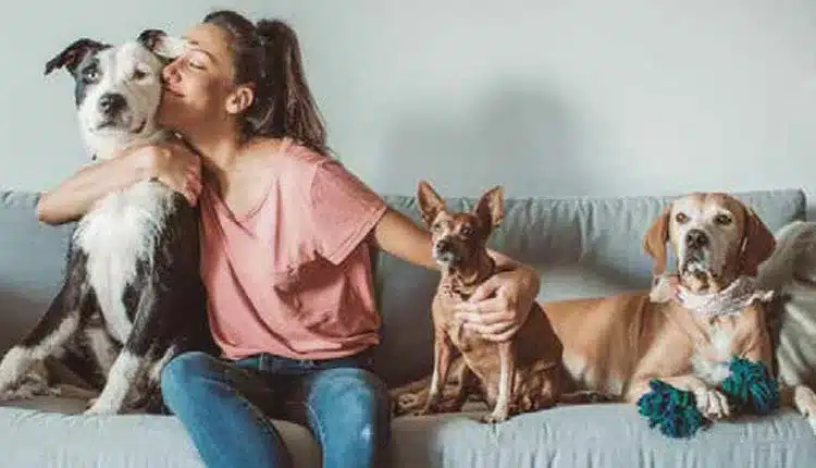 animais-em-condominios-e-o-novo-paradigma-legal-no-mercado-pet