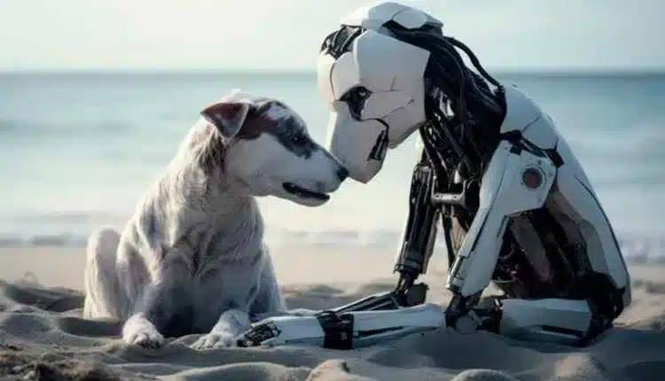 o-crescimento-do-mercado-pet-tech-no-brasil