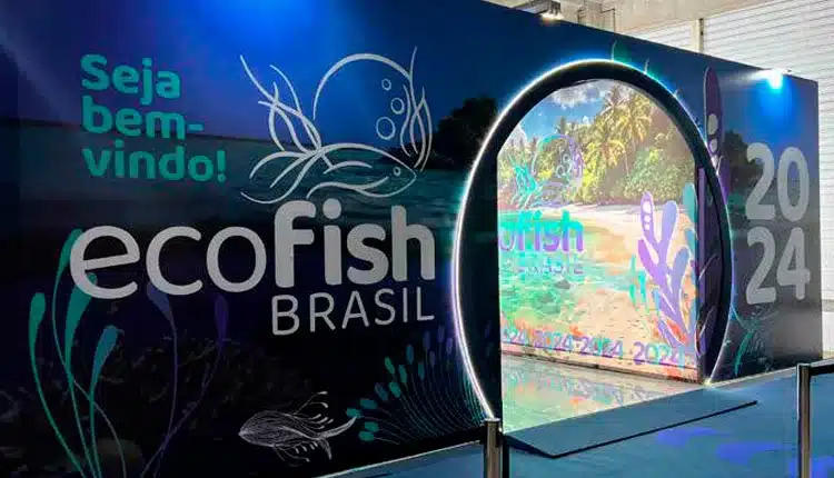 mais-que-uma-feira,-uma-experiencia.-a-ecofish-chega-a-sao-paulo