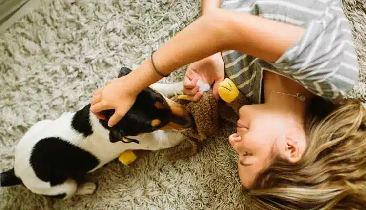 vida-em-apartamento:-desafios-e-solucoes-para-o-bem-estar-dos-animais-de-estimacao