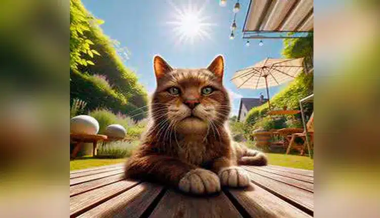 a-longevidade-do-seu-pet:-um-caminho-para-uma-vida-saudavel-e-feliz