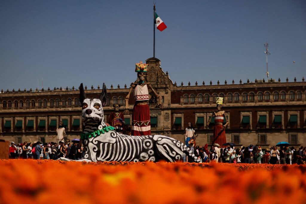 bom-pra-cachorro:-mexico-homenageia-pets-falecidos-em-celebracao-as-vesperas-do-dia-dos-mortos