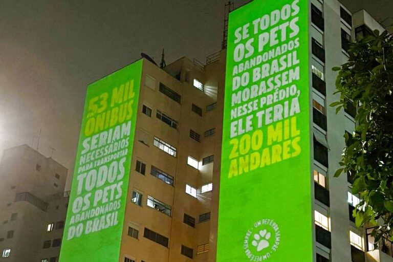 bom-pra-cachorro:-projecoes-em-sp-alertam-sobre-abandono-de-caes-e-gatos-no-pais